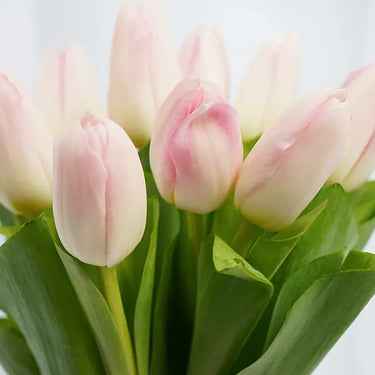 10 Light Pink Tulips In a Vase